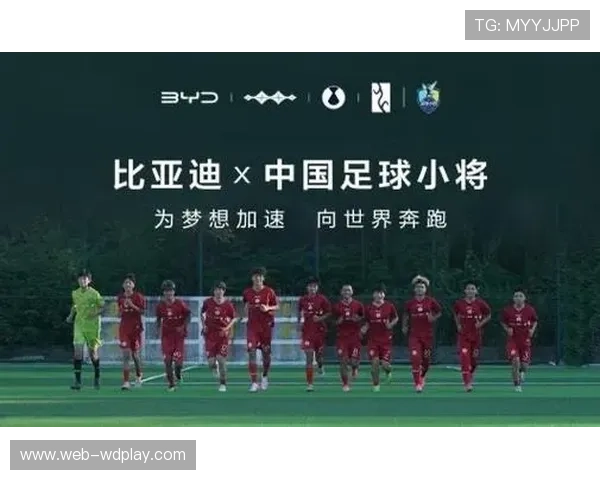 体育种子基金扶持青少年体育项目，培育未来消费市场